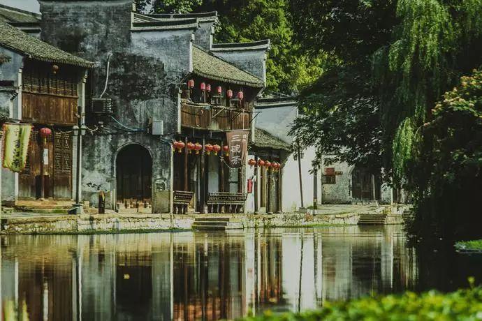 探索知识星球平台,尽览以太坊创始人发表“人造子宫解放女性”言论,你如何看待他的想法?魅力